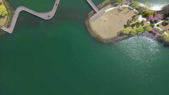 航拍春天里的苏州昆山玉湖湿地公园视频素材模板下载