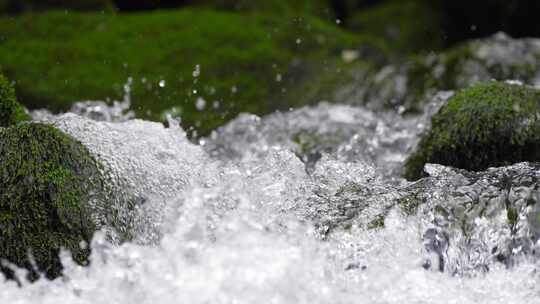 湖北恩施小溪河源头活水流淌青苔满地