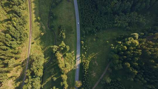 汽车行驶在松树森林的道路上鸟瞰