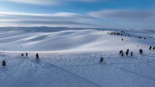 唯美雪景 呼伦贝尔大雪原视频素材模板下载