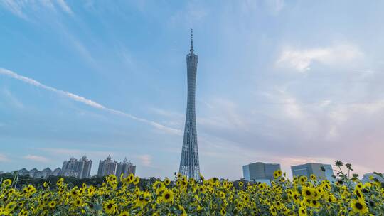 广州_广州塔_花海_日转夜天空延时4K