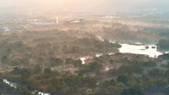 杭州秋天 西溪湿地 手摇船 湿地博物馆