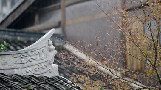 江南雨季下雨情绪意境空境素材视频素材模板下载