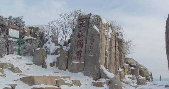 山东泰山风景区雪景下雪