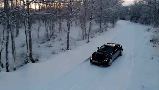 雪林中小路一辆汽车行驶而过