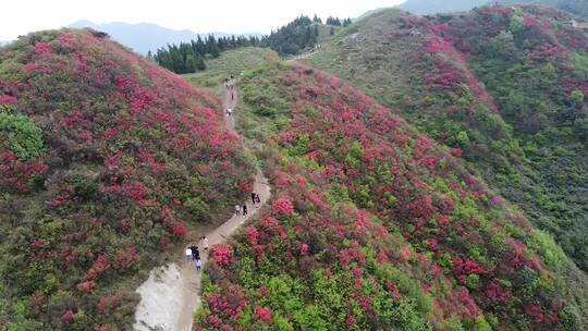 湖南衡阳常宁天堂山航拍