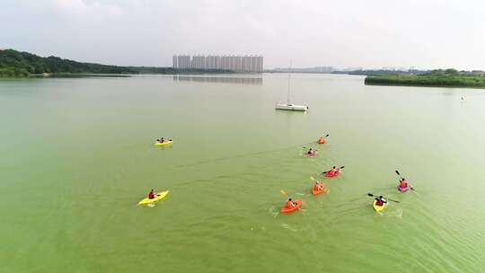 划龙舟 划船 湖面平静视频素材模板下载