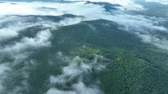 航拍辽阔青山森林云海