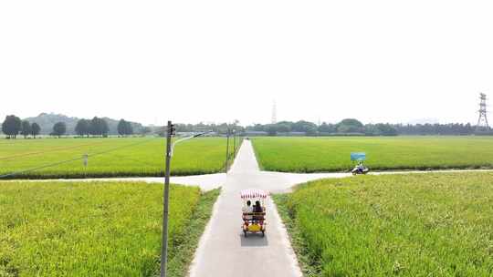 中国广东省中山市南朗街道崖口稻田