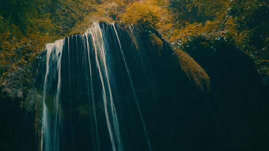 森林里的小溪水流瀑布