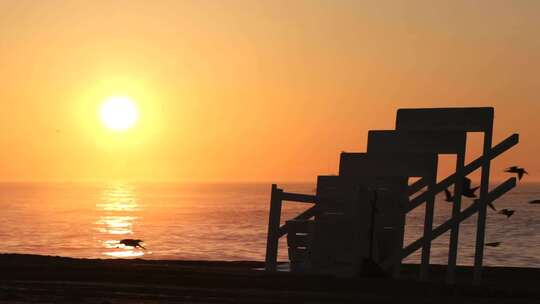 落日余晖海边飞鸟夕阳海鸥