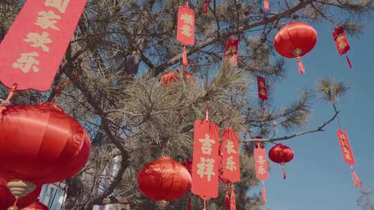 4K树上新年装饰灯笼祝福语街边装饰