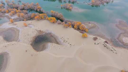 航拍秋天的新疆葫芦岛风景视频素材模板下载