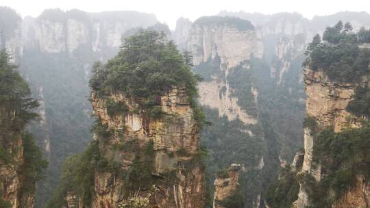 湖南张家界武陵源奇山风景