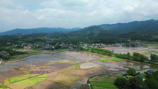 合集水田农业种植农田航拍视频素材模板下载