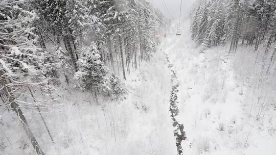 从滑雪站俯瞰美丽的冰冻森林