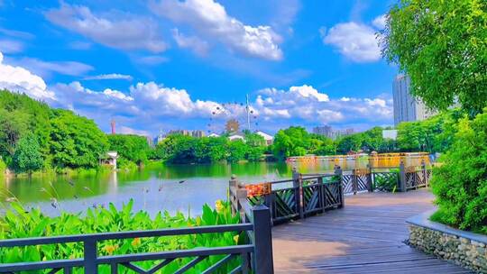 大自然，风景如画的地方，水天一色，风景