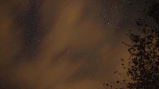 云朵掠过夜空，黑暗的树木剪影出现在前景中