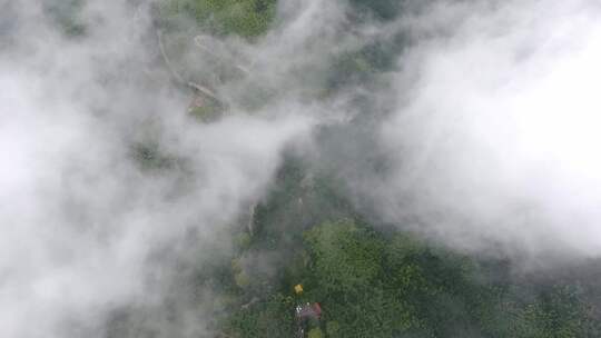 云海 云雾 云雾缭绕 森林 青山绿水 风景