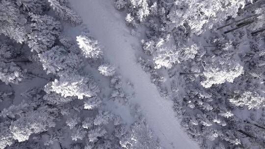 森林雪景航拍景观