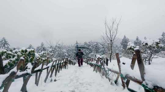 雪中持伞行人漫步华顶林间篱笆小道