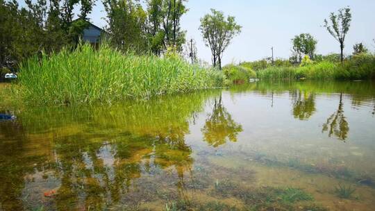 4K高清实拍昆明池湿地公园湖面倒映