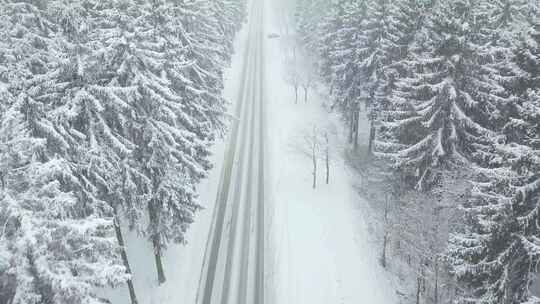 雪天空中在松林环绕的道路上行驶的汽车