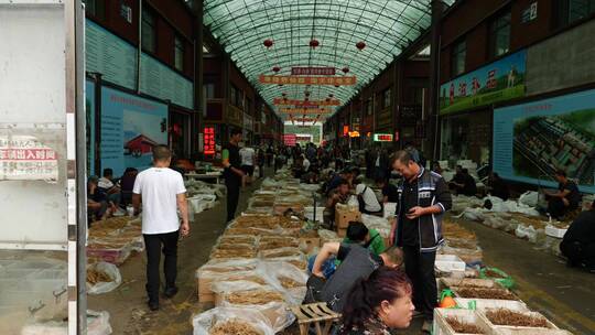 中国东北人参交易市场的人生百态