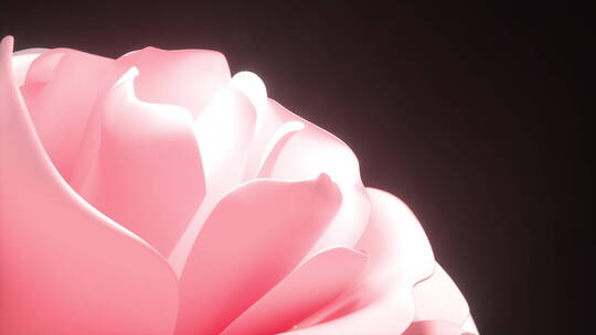 3D渲染抽象粉色花朵开花绽放发光金色粒子