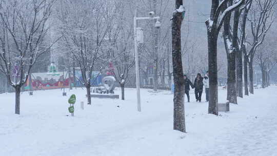 武汉江汉区菱角湖公园雪景