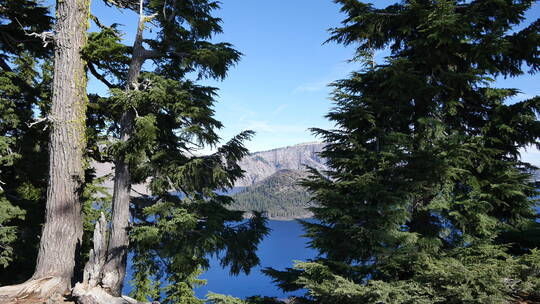 透过树枝看俄勒冈火山口湖景观