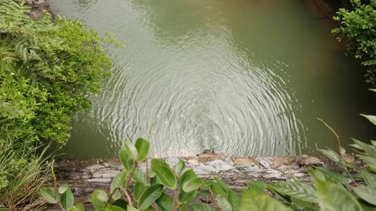 山涧清泉任性流 远无积虑近无忧