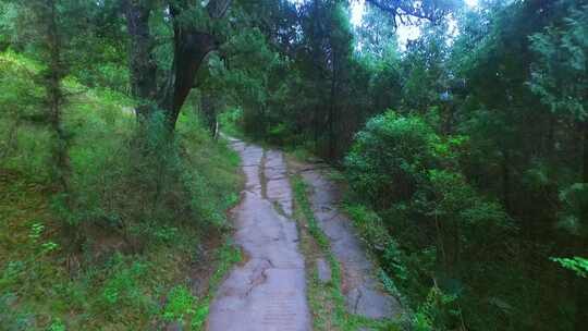 蜀道森林步道