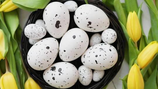 鸟巢里有鹌鹑蛋和鸡蛋