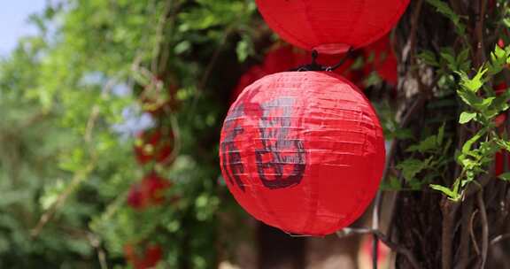 树上悬挂的福字红灯笼