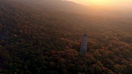 南京灵谷景区灵谷寺灵谷塔航拍