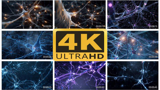 4K大脑神经元神经网络细胞1高清在线视频素材下载