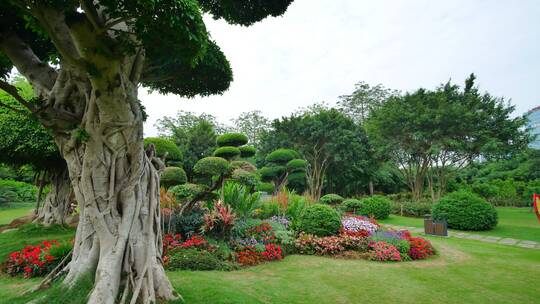 南宁南湖公园园艺造型花坛唯美四季花园