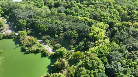 吴淞口炮台湾湿地公园