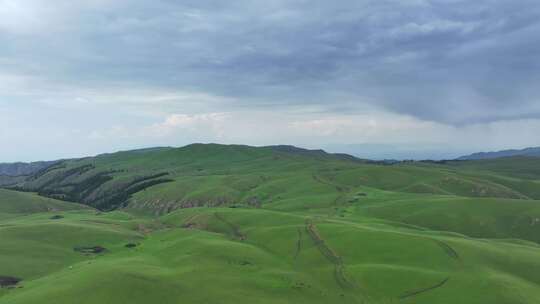 新疆河谷草原风景