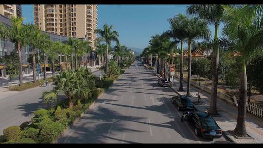 民族街道视频云南德宏芒市棕榈树街道街景