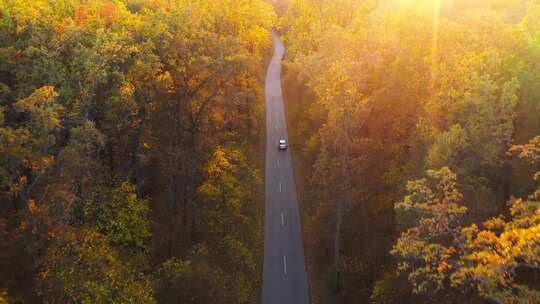 逆光航拍秋天树林中公路汽车自然风景