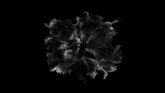 4K烟雾圆心圆环向外扩散粒子视频素材 (19)