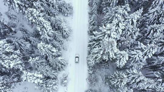 汽车行驶在冬天的道路上