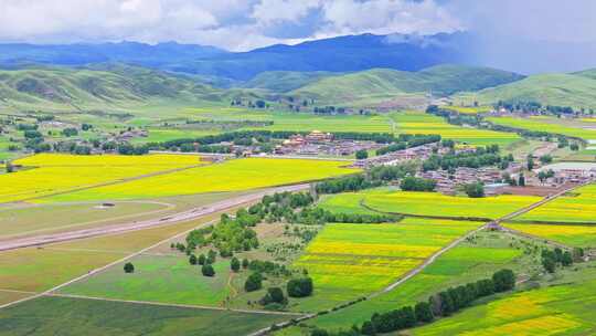 四川甘孜州道孚县惠远寺夏季草原油菜花航拍