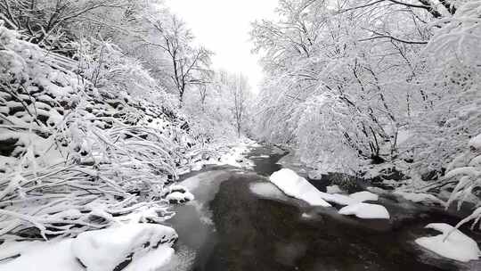 视觉冲击雪后溪水森林