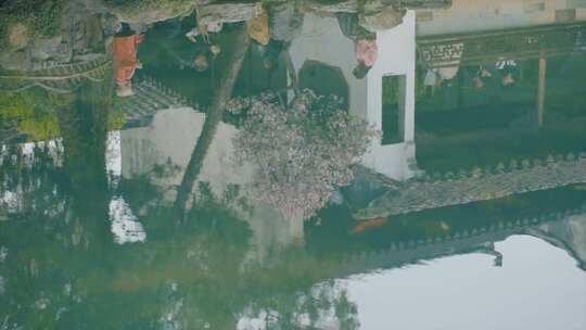 4K江南水乡园林小桥流水 水中倒影倒影