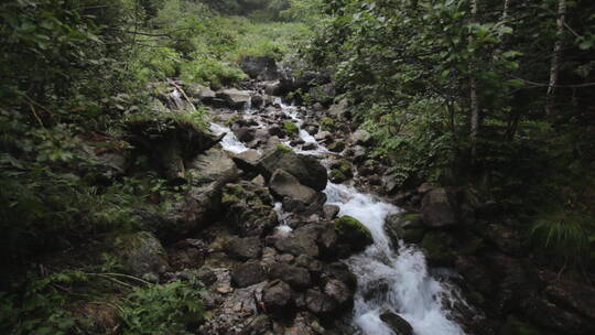 山林间的小溪流