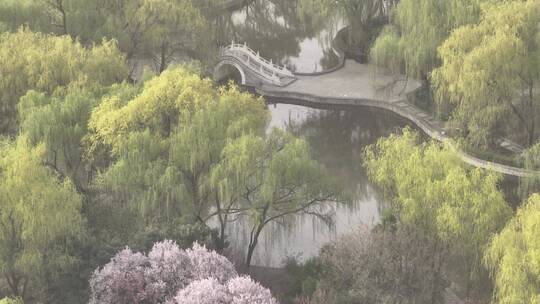 洛阳隋唐遗址植物园开元大道春天公园道路