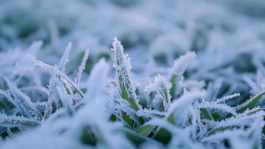 冬天唯美雪景